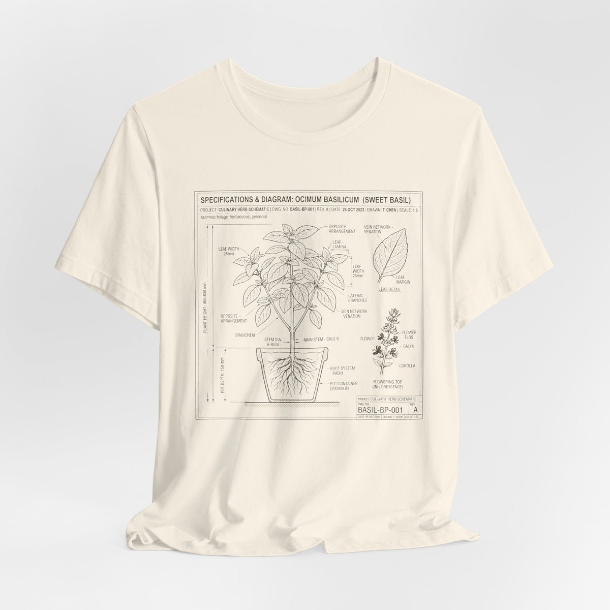 Basil Herb Plant Diagram