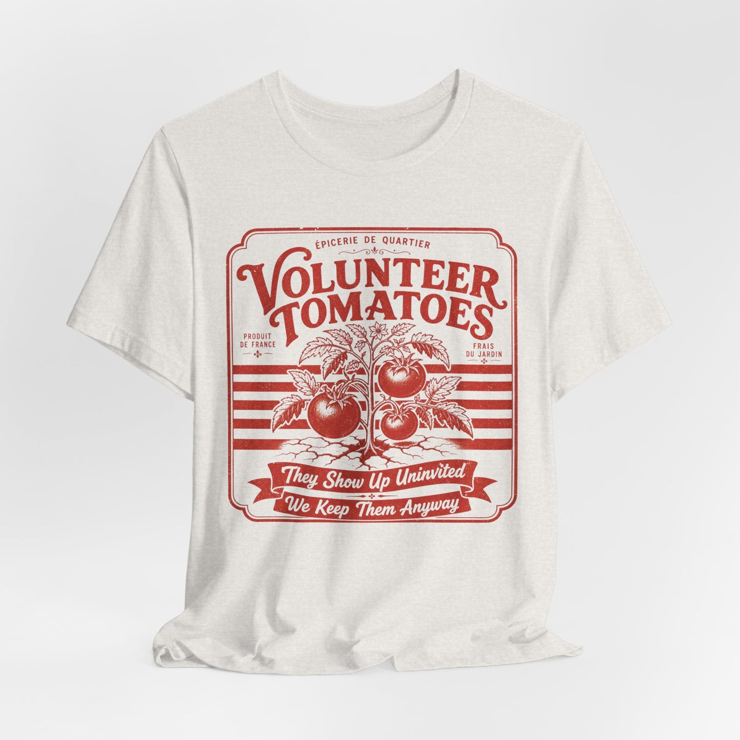 Volunteer Tomatoes