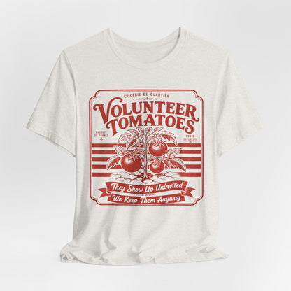 Volunteer Tomatoes