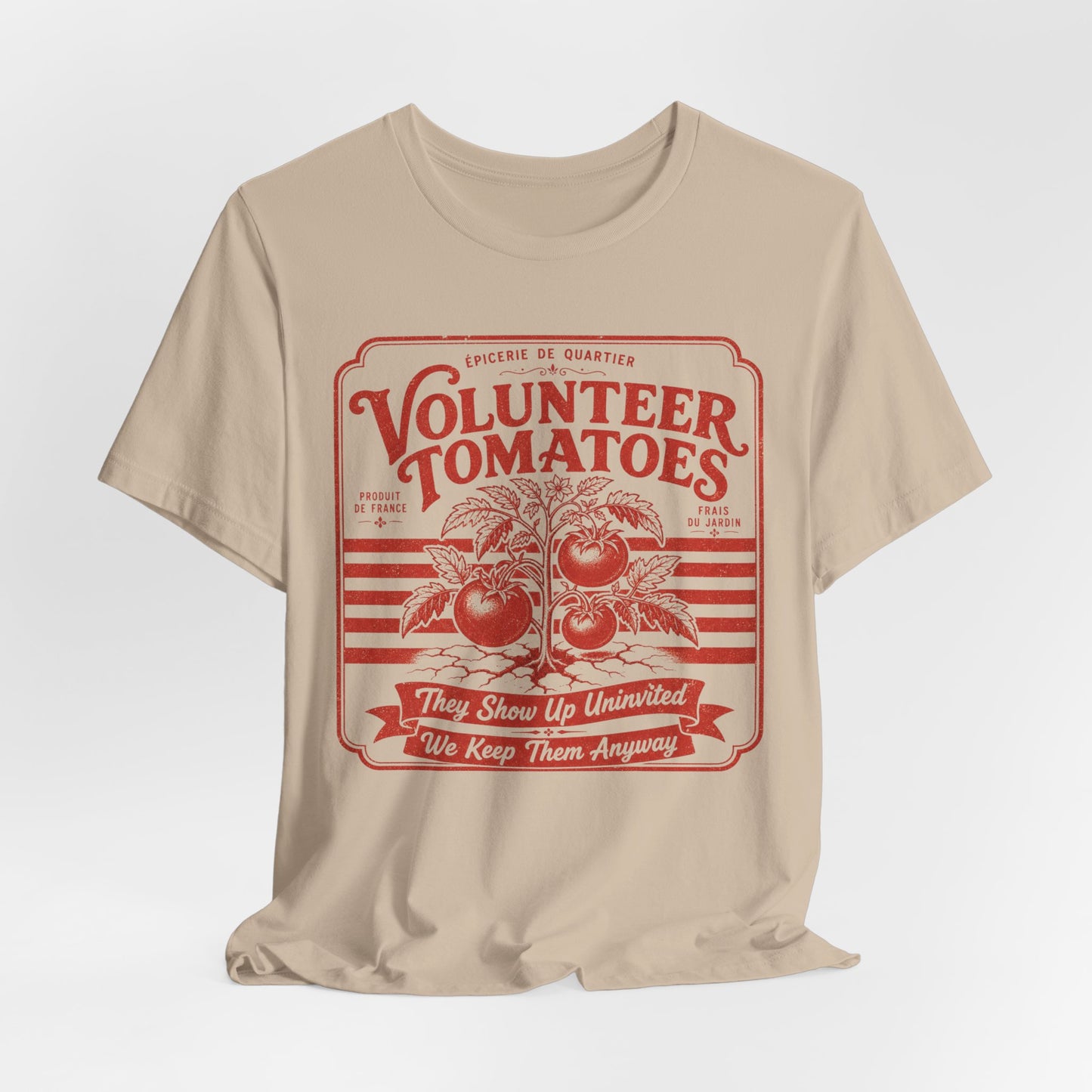 Volunteer Tomatoes