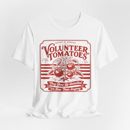 Volunteer Tomatoes
