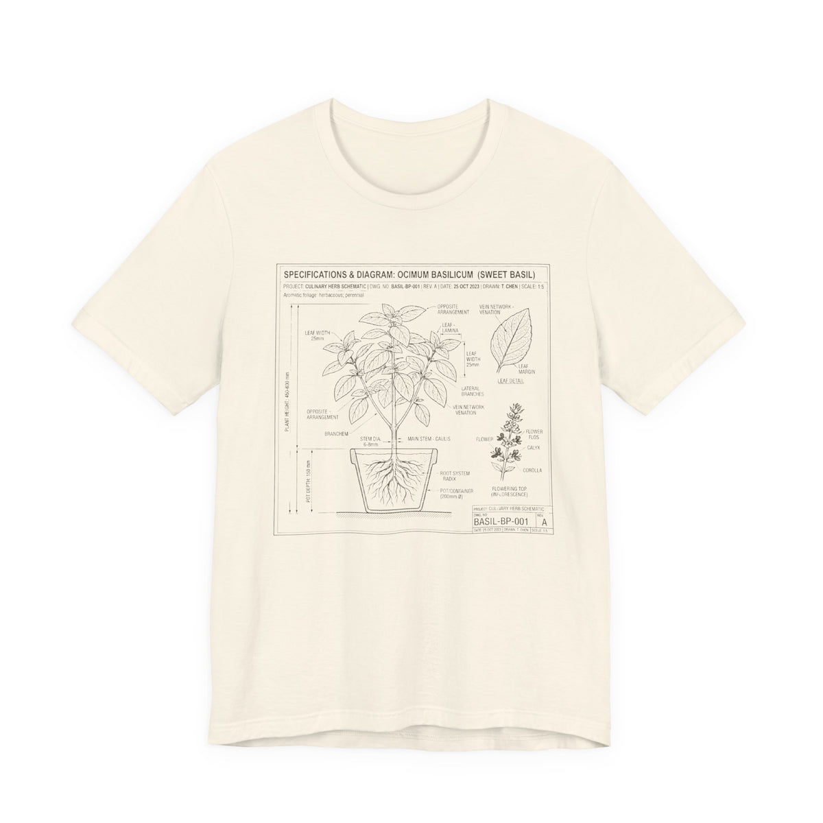 Basil Herb Plant Diagram