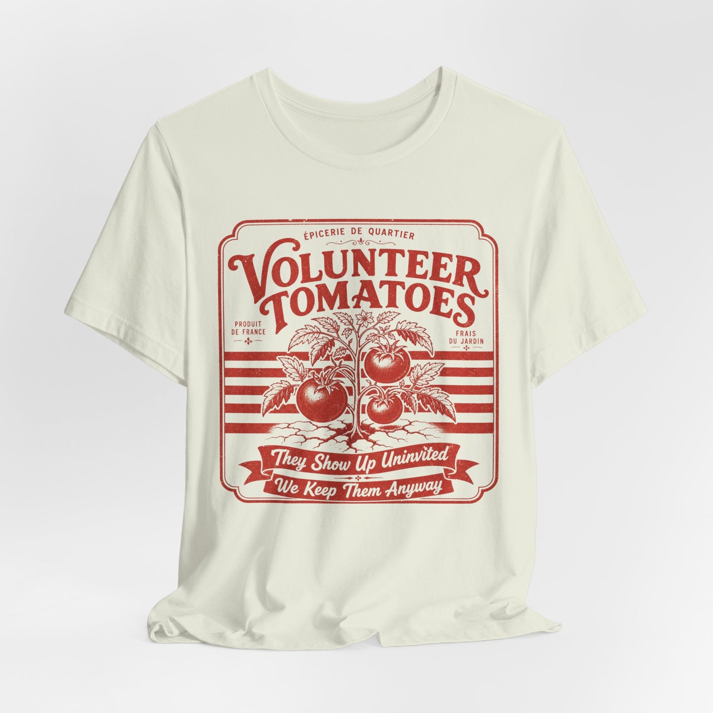 Volunteer Tomatoes