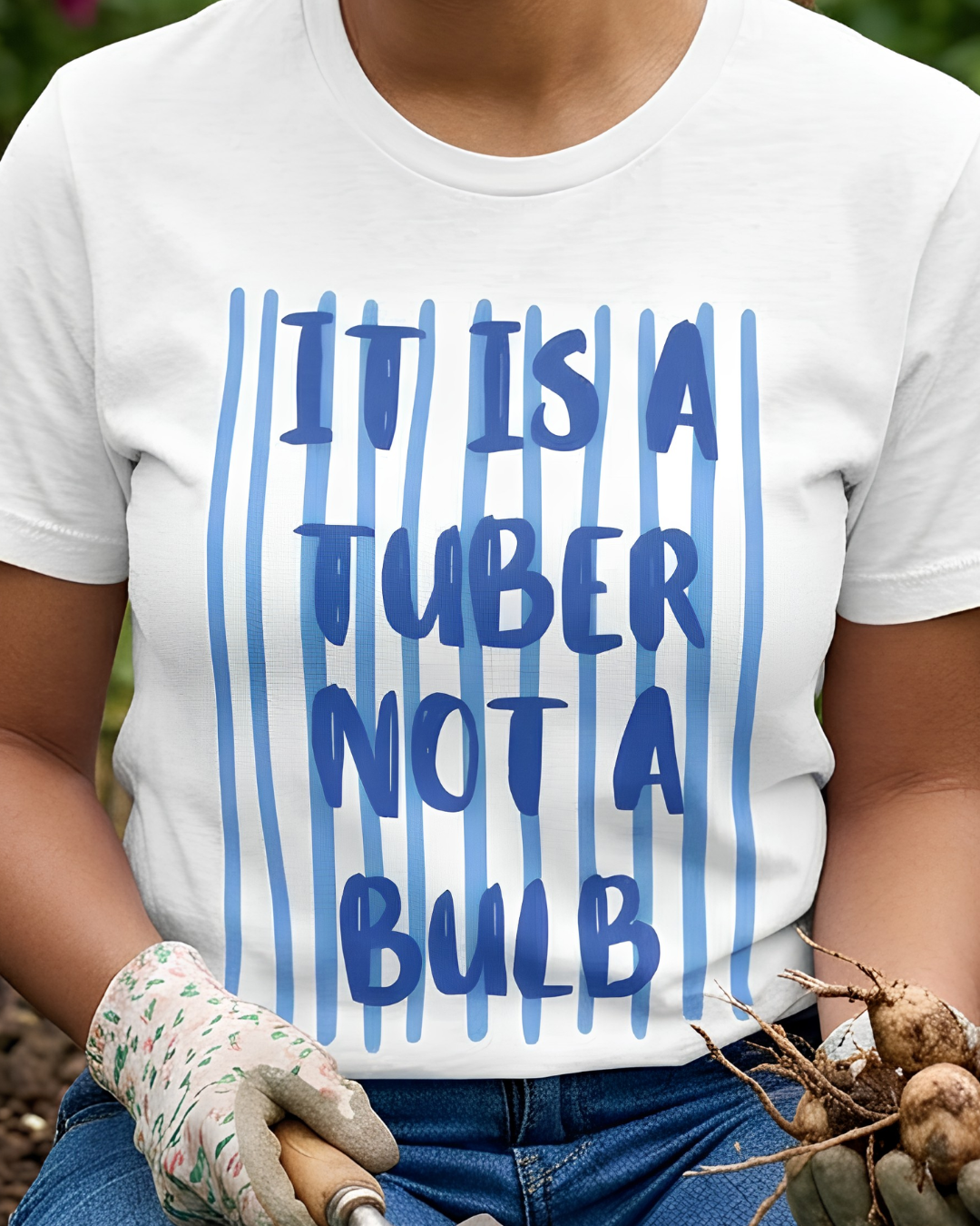 It Is A Tuber Not A Bulb