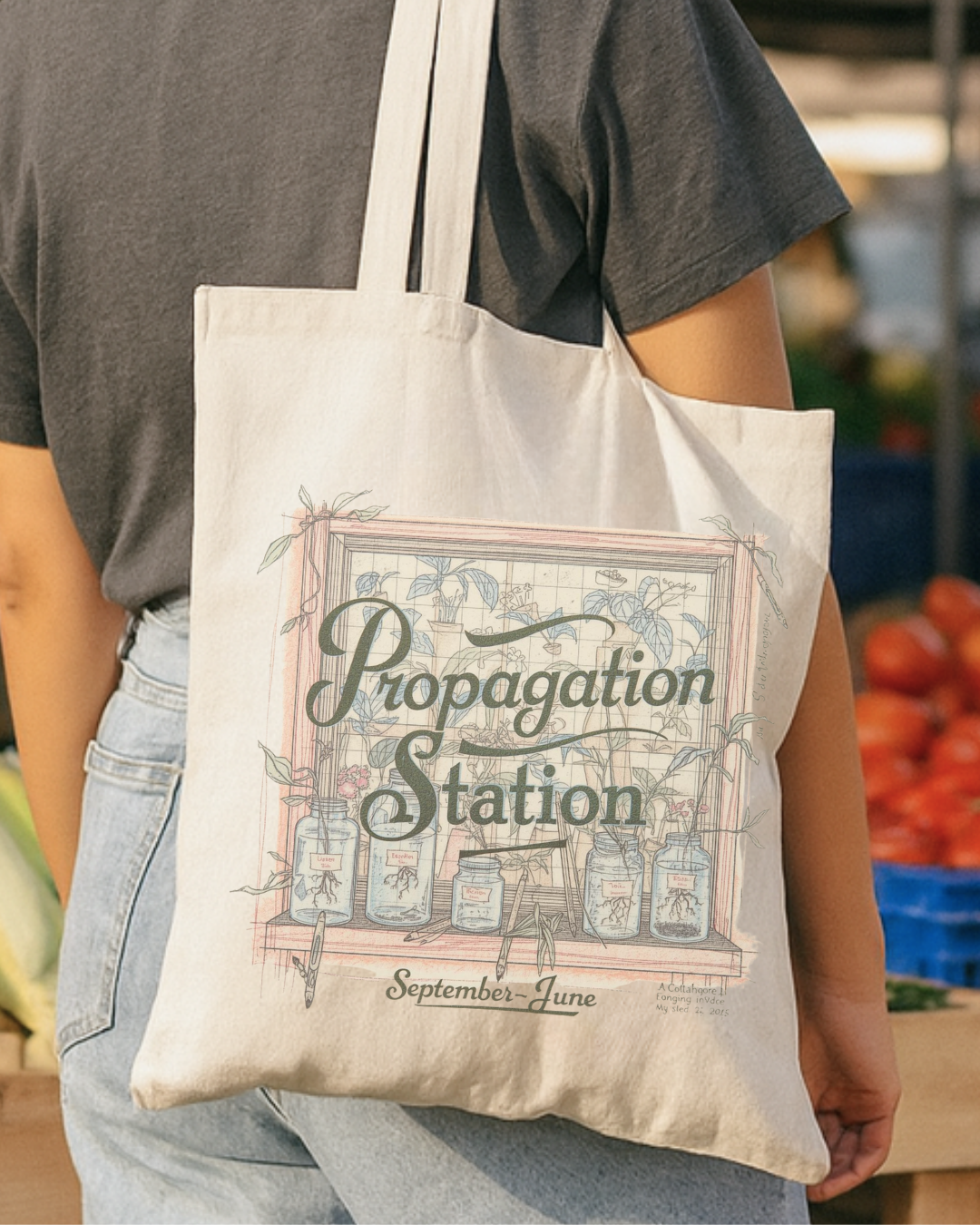 Propagation Station