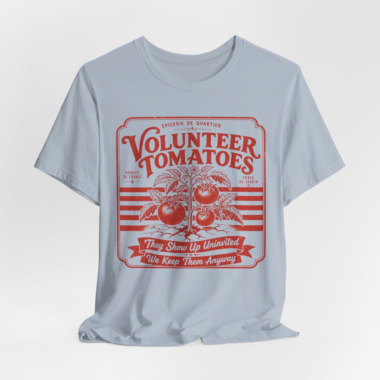 Volunteer Tomatoes