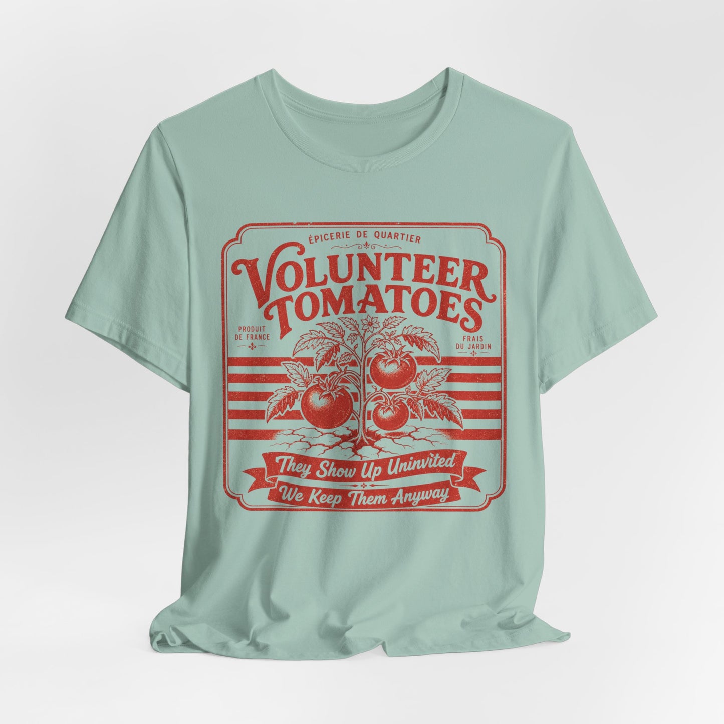 Volunteer Tomatoes