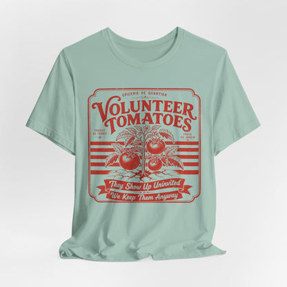 Volunteer Tomatoes