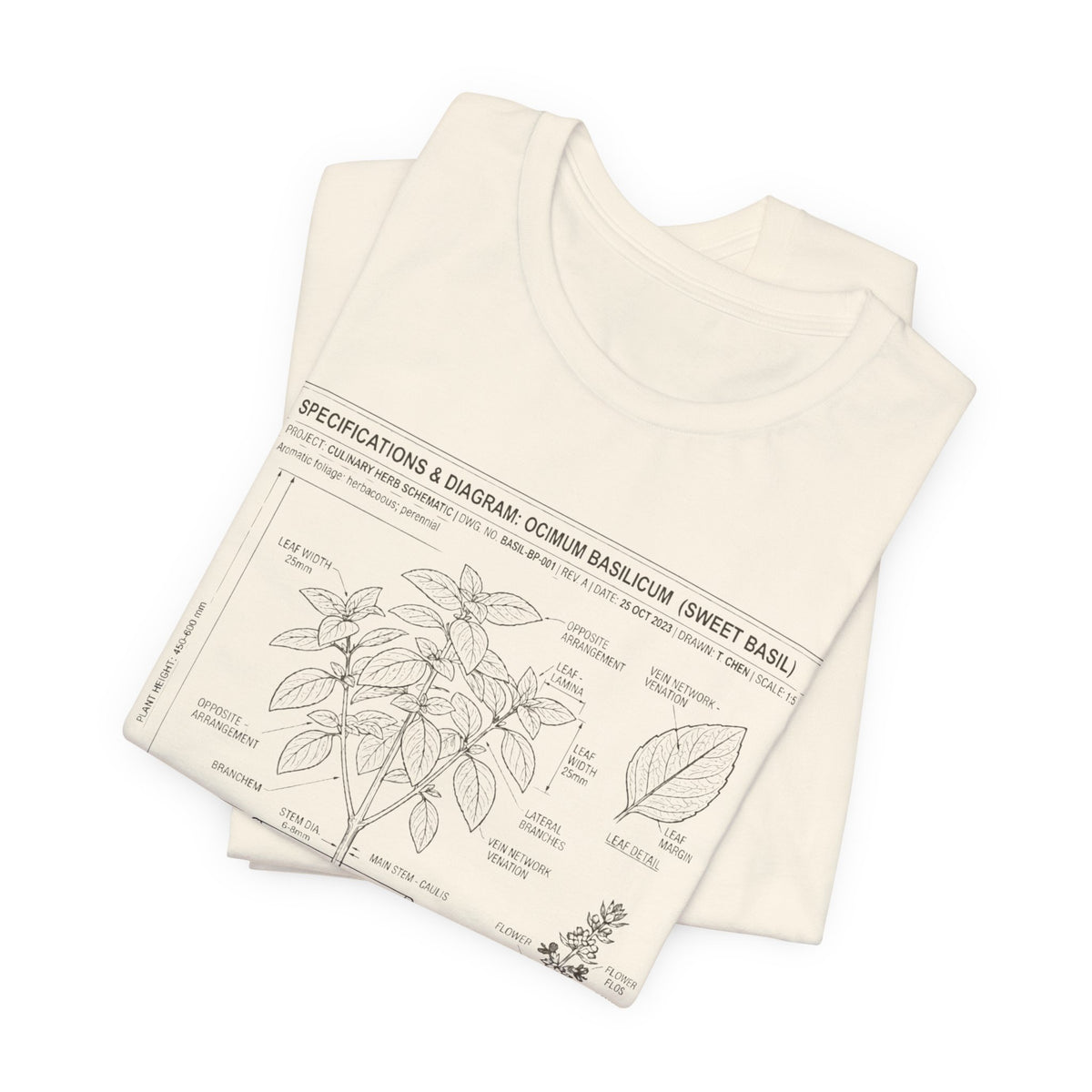 Basil Herb Plant Diagram