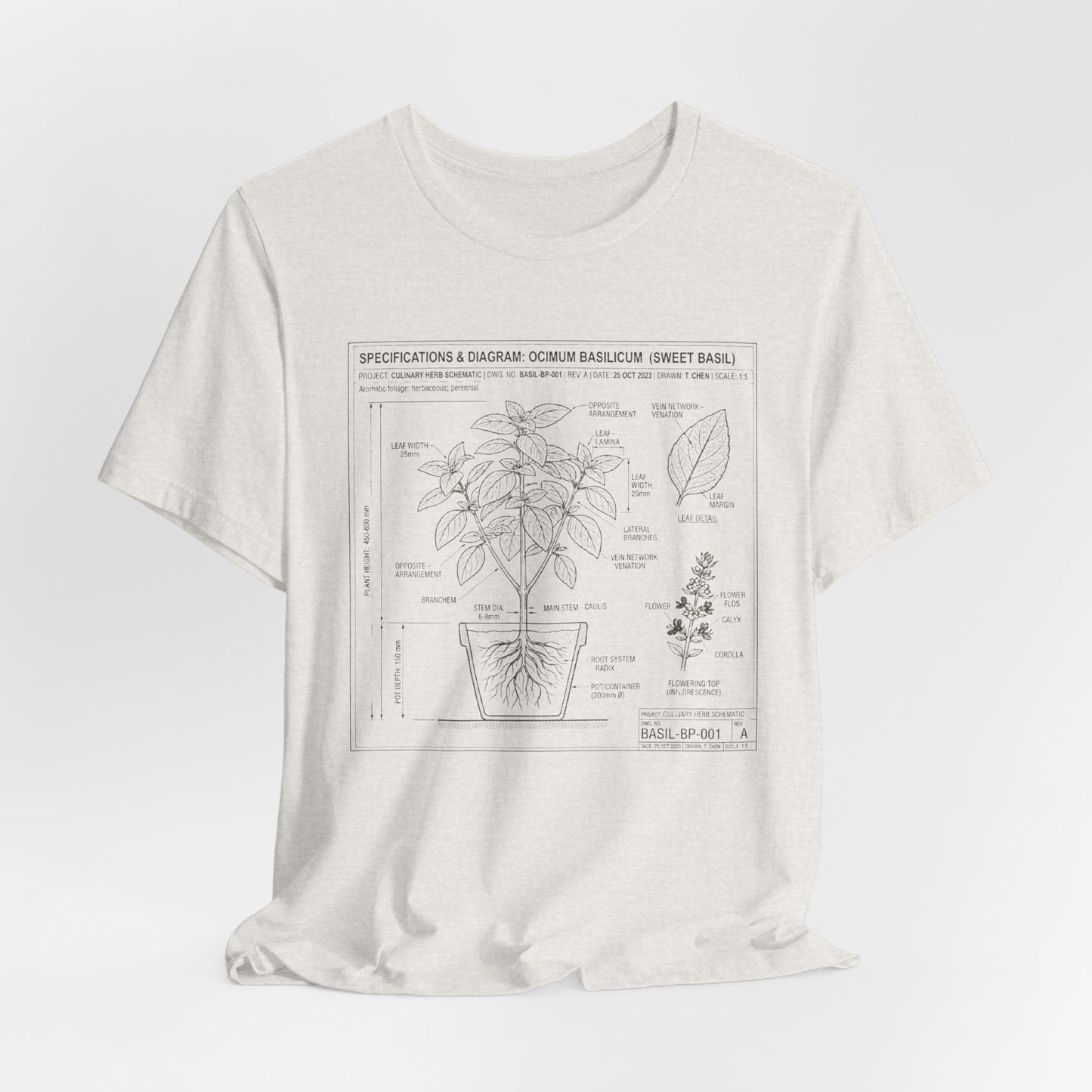 Basil Herb Plant Diagram