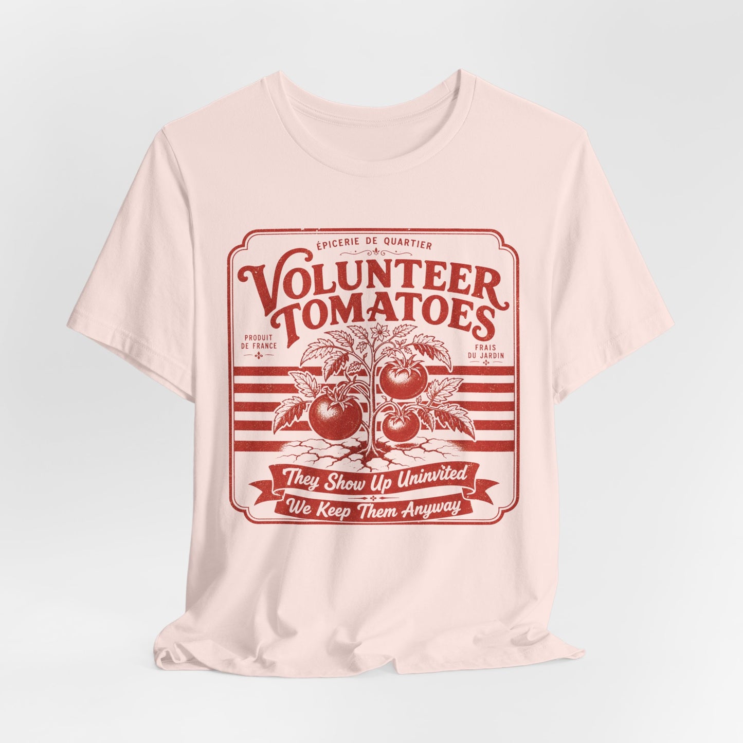 Volunteer Tomatoes