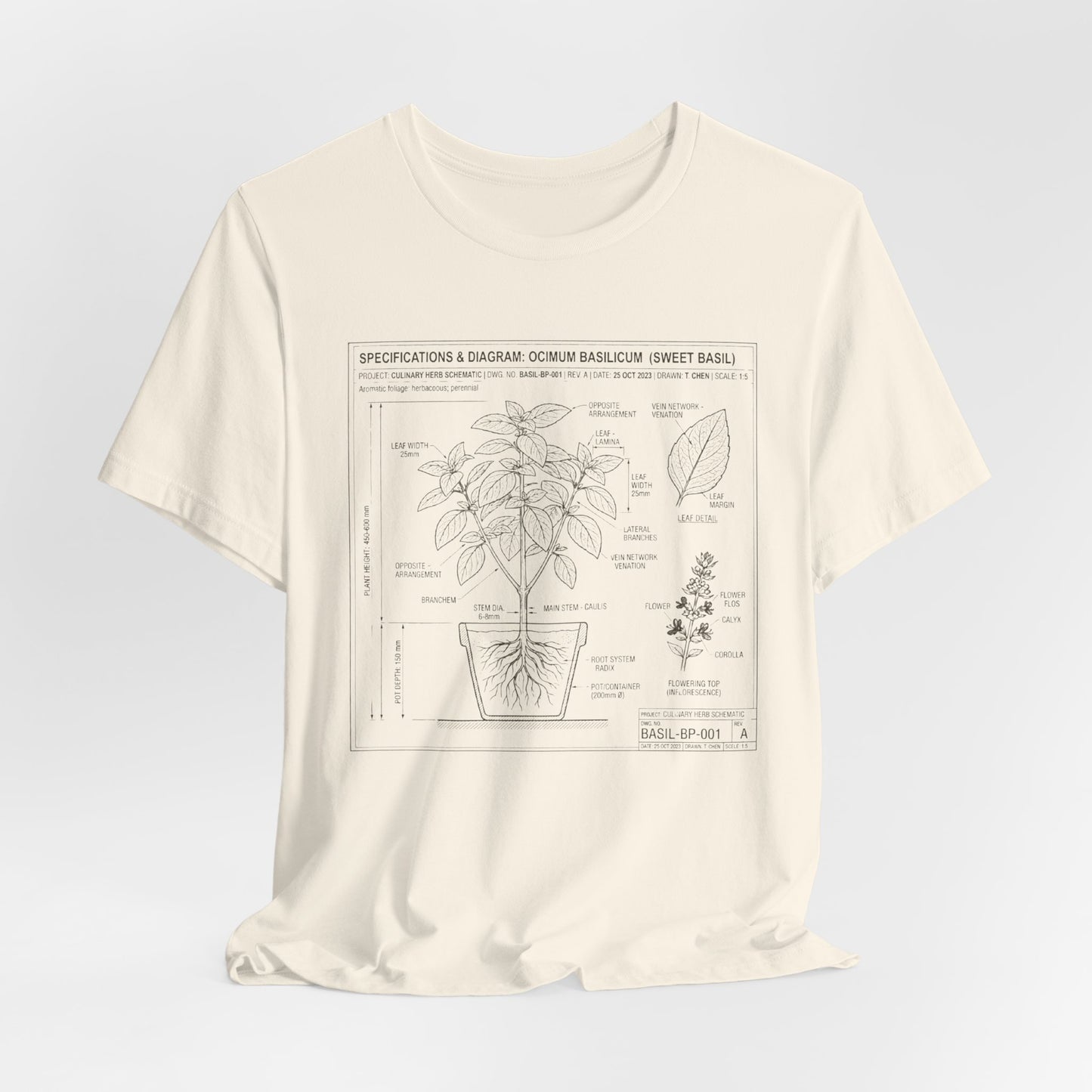 Basil Herb Plant Diagram